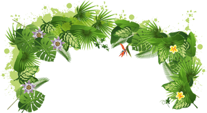 Rainforest Clipart Rain Forest - Tropical Rainforest Transparent Background, HD Png Download PNG image with transparent background