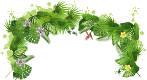 Tropical Rainforest Floraand Fauna PNG Image