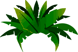 Plant,leaf,arecales - Animated Amazon Rainforest Trees, HD Png Download PNG image with transparent background