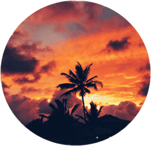 Palmeira Sticker - Sunset - Sunset Sticker Png, Transparent Png PNG image with transparent background