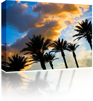 Tropical_ Sunset_ Silhouettes PNG Image