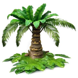 Tropical Tree Elevation Png Bmg PNG Image