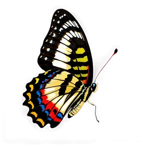 True To Life Butterfly Png 06262024 PNG Image