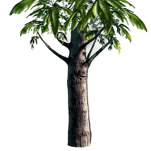 Trunk with Plants PNG loy76 PNG image with transparent background
