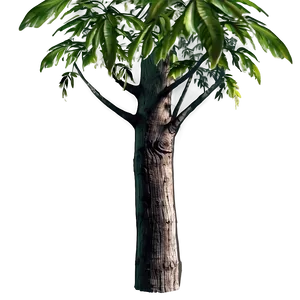 Trunk With Plants Png Loy76 PNG Image