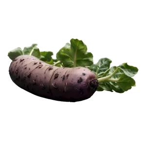 Tuber Gardening Tips Png Swp PNG Image