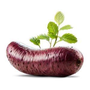 Tuber Macro Photography Png Ewk PNG Image