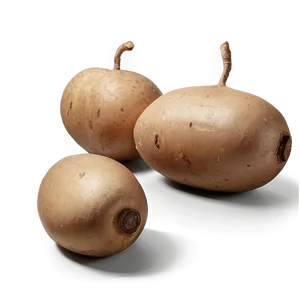 Tuber Preparation Guide Png 78 PNG Image