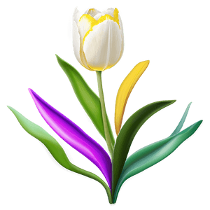 Tulip Bloom PNG pmp4 PNG image with transparent background