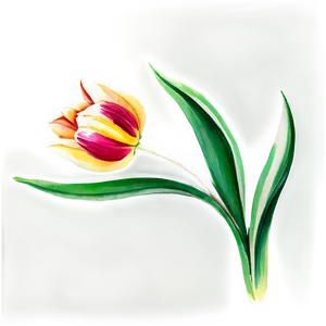 Tulip Watercolor Masterpiece Png 61 PNG Image