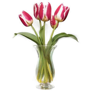 Tulips In Vase Png Nwh PNG Image