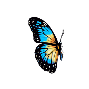 Tumblr Butterfly Clipart PNG dcq PNG image with transparent background