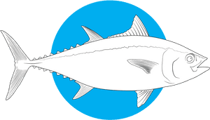Ray-finned Fish , Png Download - Fish, Transparent Png PNG