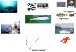 Tunaand Fishing Industry Collage PNG Image