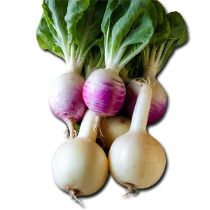 Turnip Farm Png 06252024 PNG Image