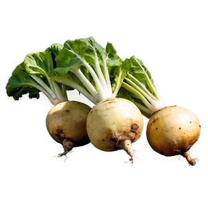 Turnip Field Png Pbs98 PNG Image