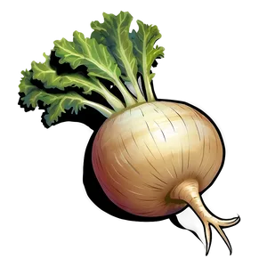 Turnip Illustration Png Btl PNG Image