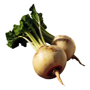 Turnip Juice Png 06252024 PNG Image