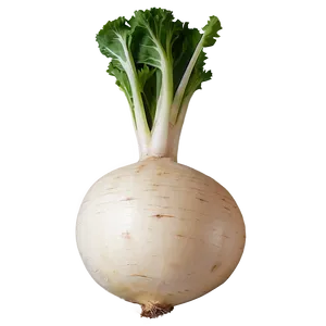 Turnip Recipe Ingredient Png 62 PNG Image