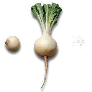 Turnip Recipe Ingredient Png Cyq PNG Image