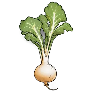 Turnip Sketch Png 79 PNG Image