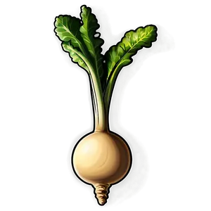 Turnip Sketch Png Ume48 PNG Image