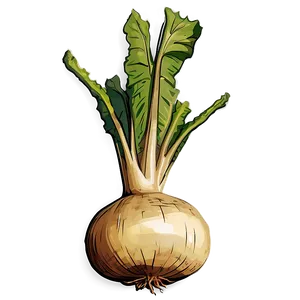 Turnip Storage Png 19 PNG Image