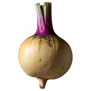 Turnip Top View Png 06252024 PNG Image