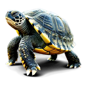 Turtle In Natural Habitat Png Bda41 PNG Image