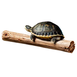 Turtle On A Log Clipart Png 52 PNG Image