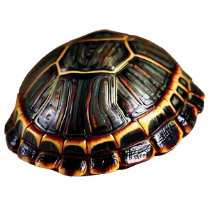 Turtle Shell Clipart Png Uhj PNG Image