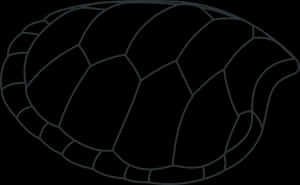 Turtle Shell Outline Graphic PNG image with transparent background