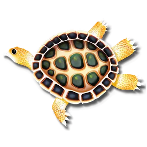 Turtle Shell Pattern Png Imi53 PNG Image