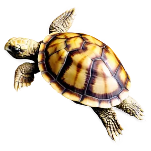 Turtle Silhouette Profile Png Jjv PNG Image