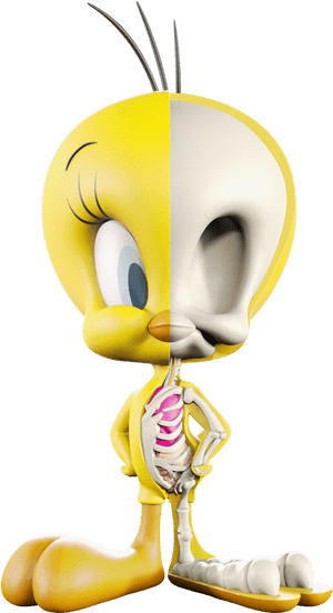 Tweety Xxray 8inch, HD Png Download PNG image with transparent background