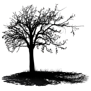 Twilight Tree Shadow Png Vdk PNG Image