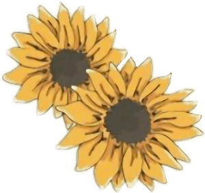 #sunflowers #yellow #tumblr #freetoedit - Png Sunflower, Transparent Png PNG