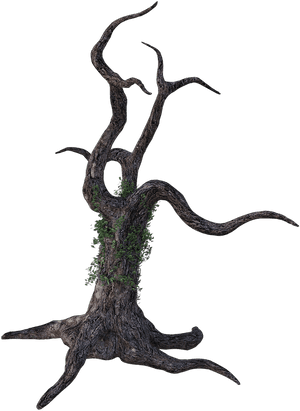 Dead Tree Png, Transparent Png PNG image with transparent background