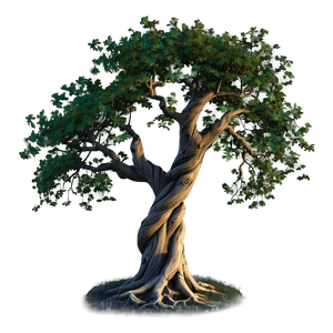 Twisted Oak Tree PNG cao15 PNG with transparent background