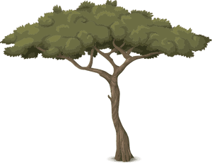 Baum Mit Hohem Stamm, HD Png Download PNG image with transparent background