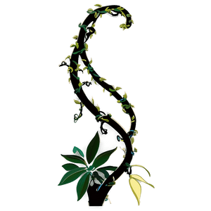 Twisting Vine Silhouette PNG atg95 PNG