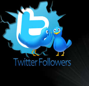 Twitter Followers Promotion Graphic PNG image with transparent background