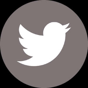 Twitter Icon Simple Design PNG