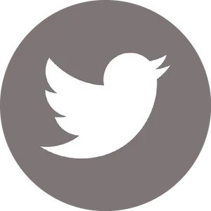 Twitter Icon Simple Design PNG Image