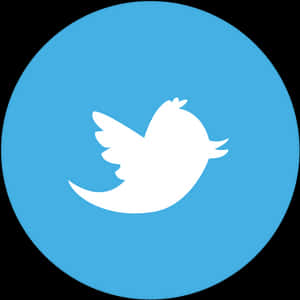Twitter Logo Blue Background PNG image with transparent background