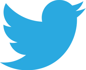 Twitter Logo Blue Bird PNG Image