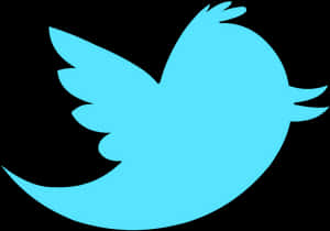 Twitter Logo Blue Bird PNG image with transparent background