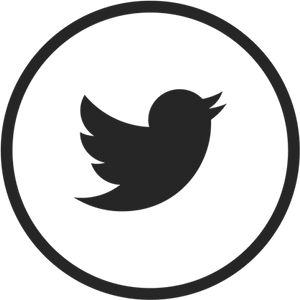 Twitter Logo Icon PNG Image