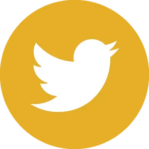 Twitter Logo Icon PNG Image