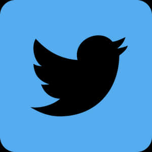 Twitter Logo Icon PNG image with transparent background